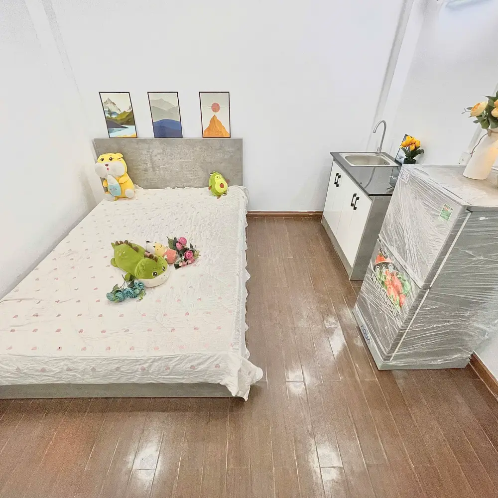 Cho thuê phòng 106/38A, Vạn Kiếp - zbt, Phường 03, Quận Bình Thạnh, Hồ Chí Minh N6994 P11238