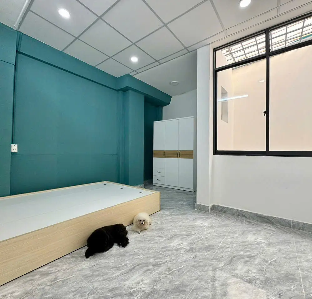 Cho thuê phòng 745/30, Quang Trung - zbt, Phường 8, Quận Gò Vấp, Hồ Chí Minh