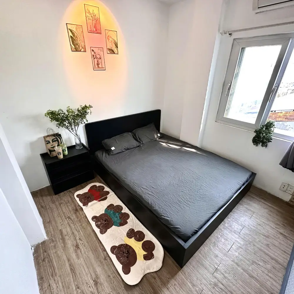 Cho thuê phòng 22, Nguyễn Đình Chiểu - zbt, Phường 03, Quận Phú Nhuận, Hồ Chí Minh N2172 P26153