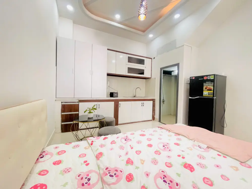 Cho thuê phòng 207/52/44A, Nguyễn Văn Đậu - zbt, Phường 11, Quận Bình Thạnh, Hồ Chí Minh