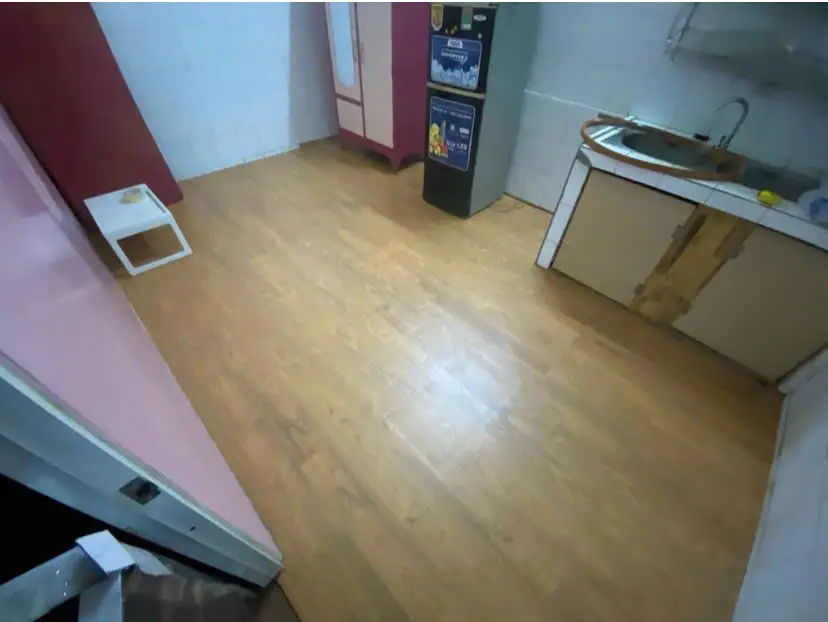 Cho thuê phòng 983, Quang Trung, Phường 14, Quận Gò Vấp, Hồ Chí Minh