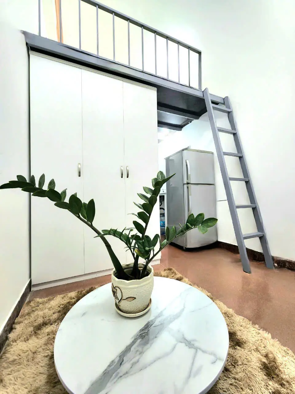 Cho thuê phòng  125/62, Bùi Đình Túy, Phường 14, Quận Gò Vấp, Hồ Chí Minh N2441 P19535