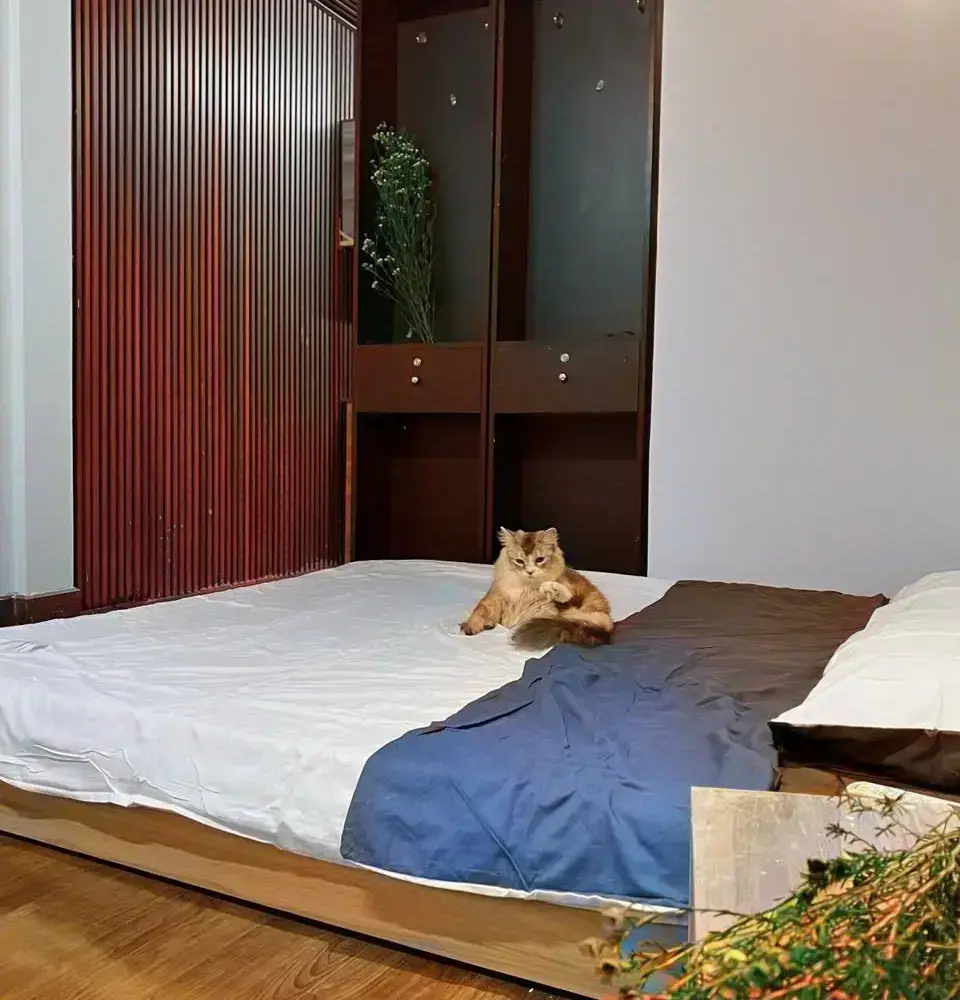 Cho thuê phòng 78, Đinh Bộ Lĩnh - zbt, Phường 26, Quận Bình Thạnh, Hồ Chí Minh N4089 P19134