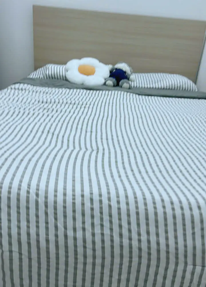 Cho thuê phòng 273, Khánh Hội ZTT5, Phường 02, Quận 4, Hồ Chí Minh N138 P2298